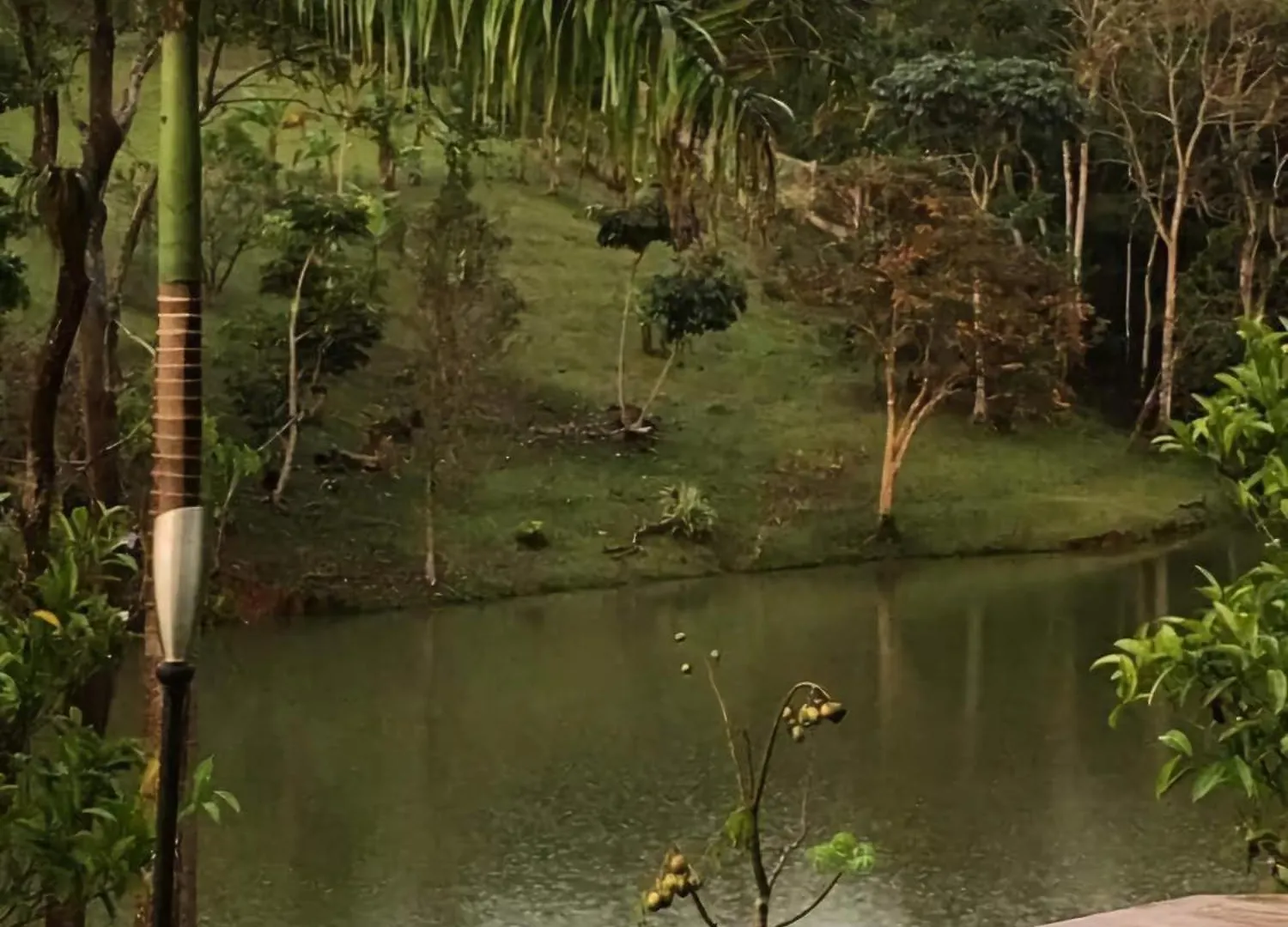 Hacienda Brisas Del Lago Villa Cidra Holiday home